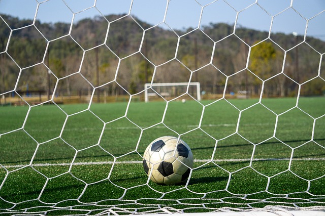 出了質疑 出了質疑