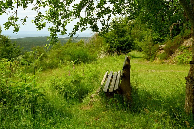 回入职通知 回入职通知