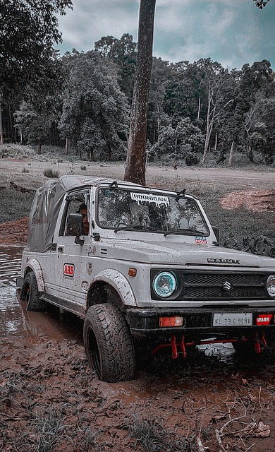 管理智慧的 管理智慧的