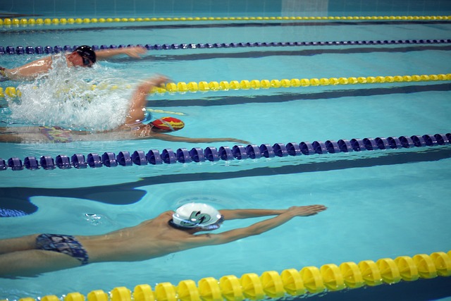 力也毋庸置 力也毋庸置