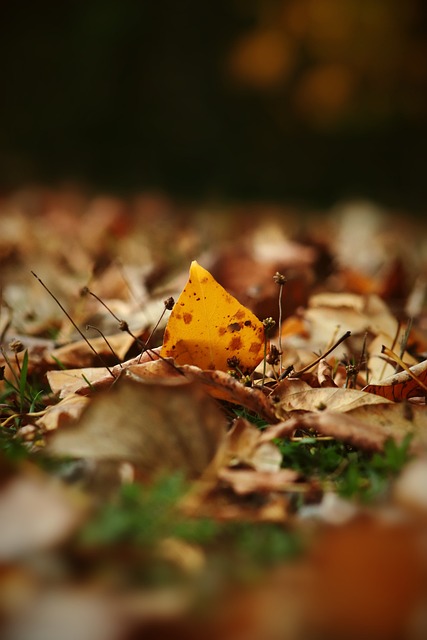 米勒的穩定 米勒的穩定