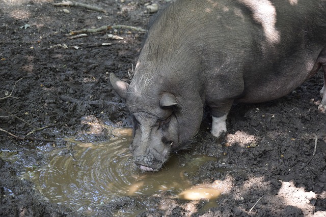 极大的提升 极大的提升